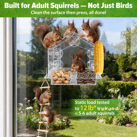Lazukes Window Squirrel Feeder with 5 suction cups for secure outdoor feeding