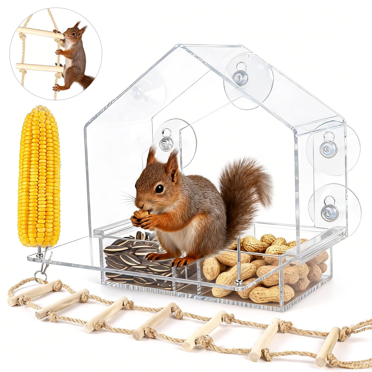 Lazukes Window Squirrel Feeder wide-view enables close observation of squirrels from indoors