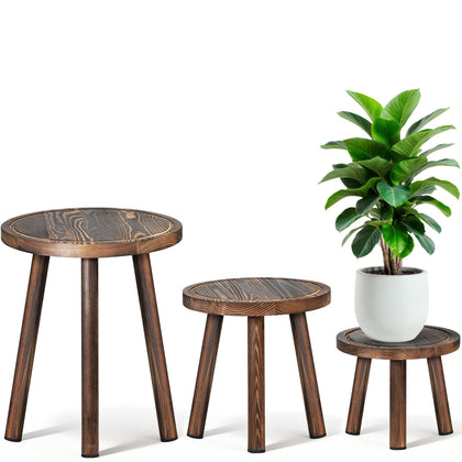 lbsddd 3-pack upgrade thicken wood plant stand displaying three heights for layered decor