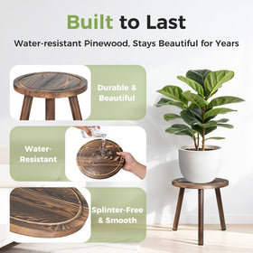 lbsddd 60-second tool-free assembly shows quick setup for indoor plant displays