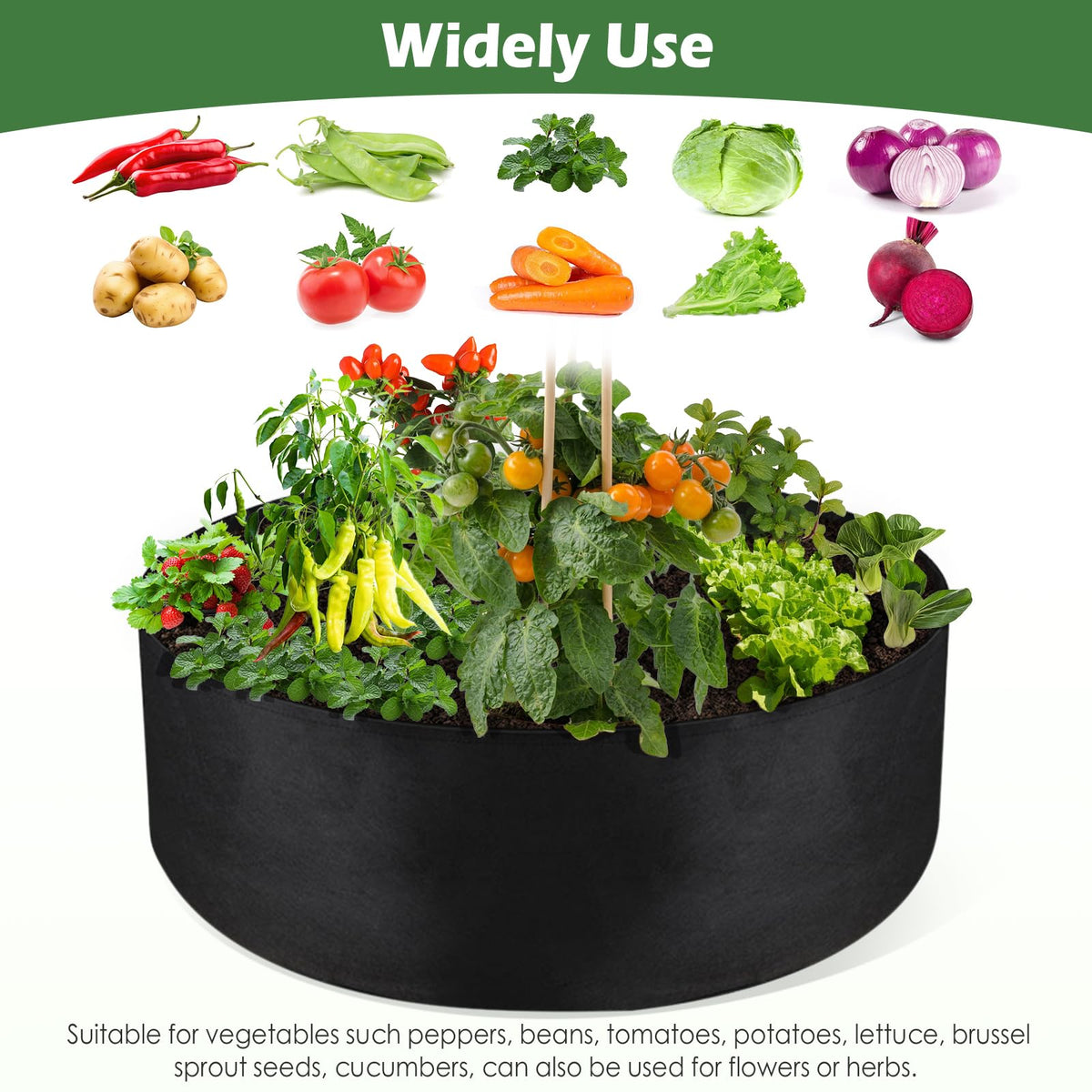 LBTING 30-gallon garden bed demonstrates large capacity for peppers and tomatoes.