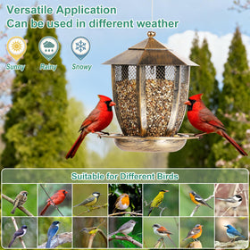 LBTING dense mesh container supports varied seed types for birds