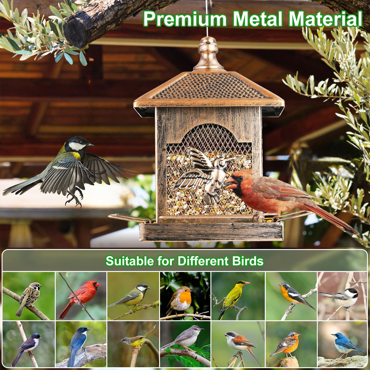 Dense mesh seed tube supports mixed seeds for multiple bird species.