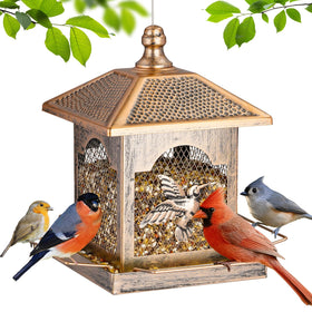 Lbting bird feeder with square lantern frame and polka dot roof—decorative feeding.