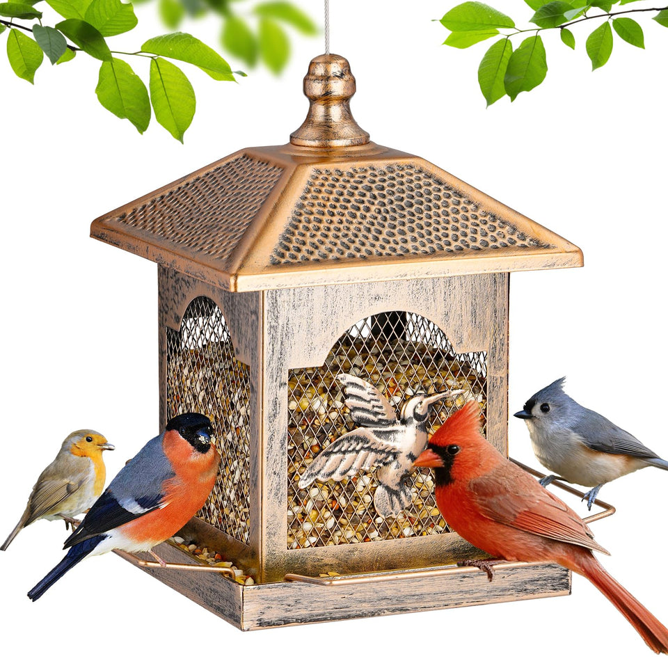 Lbting bird feeder with square lantern frame and polka dot roof—decorative feeding.