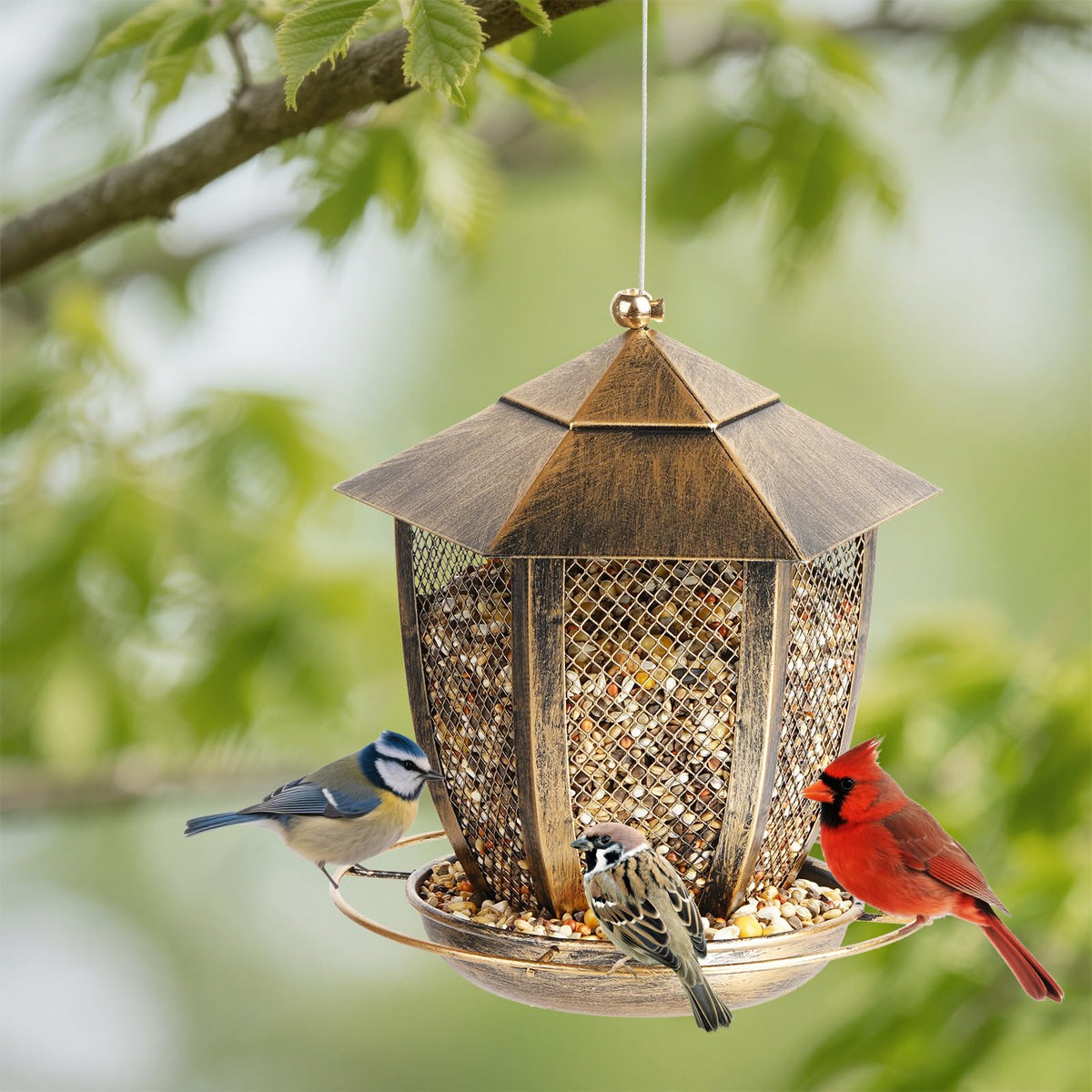 LBTING squirrel-proof top helps prevent lid tampering
