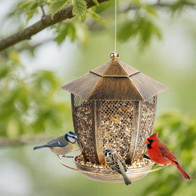 LBTING squirrel-proof top helps prevent lid tampering