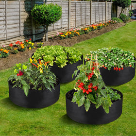 LBTING vegetable and flower grow bags enable flexible planting options.