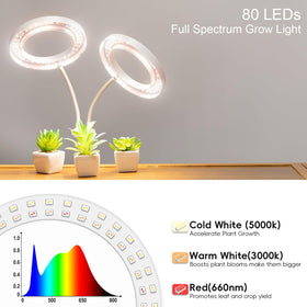 LBW 5-level dimming provides precise brightness control for different growth stages.