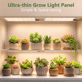 LBW 810 LEDs emit a full spectrum for year-round plant growth.