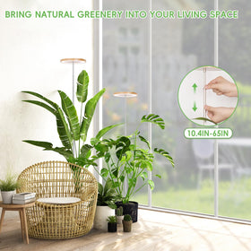 LBW bamboo grow light with telescopic pole extended to cover tall plants