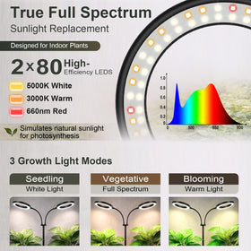 LBW LED array delivering a full spectrum light for indoor plants