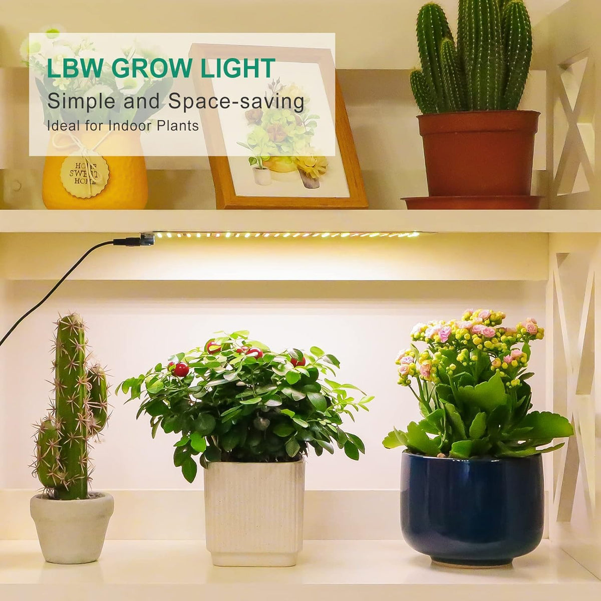 LBW three lighting modes provide flexible coverage on demand.