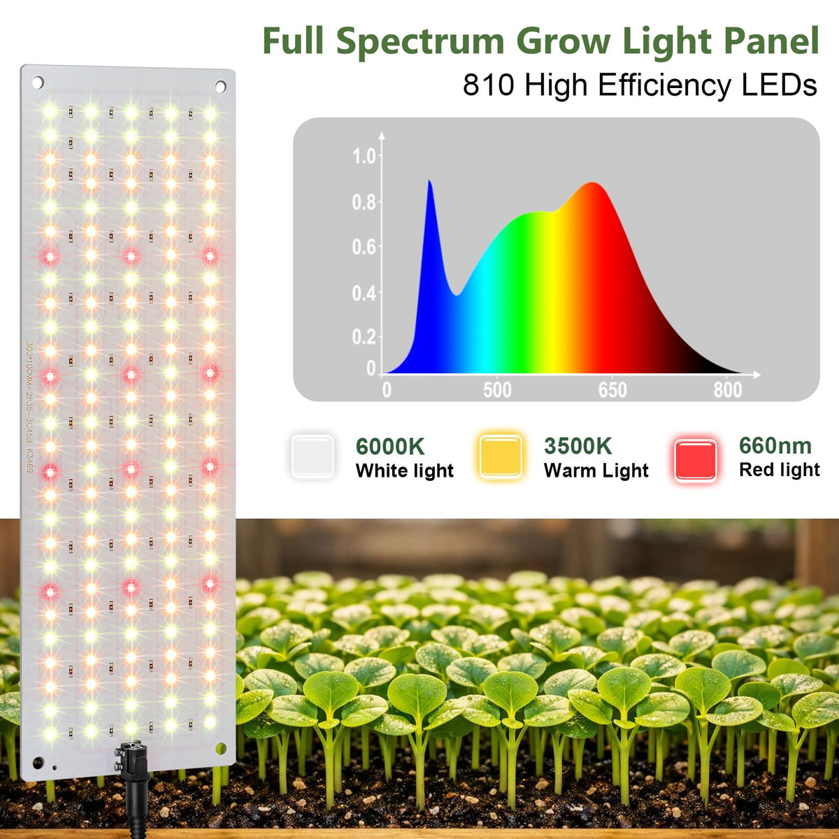 LBW timer-equipped light automatically cycles daily for convenient care.