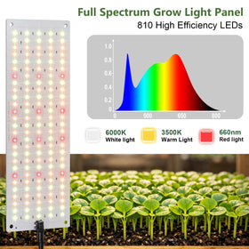 LBW timer-equipped light automatically cycles daily for convenient care.