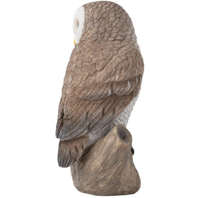 LCdecohome hand painted owl statue with detailed features for striking decor