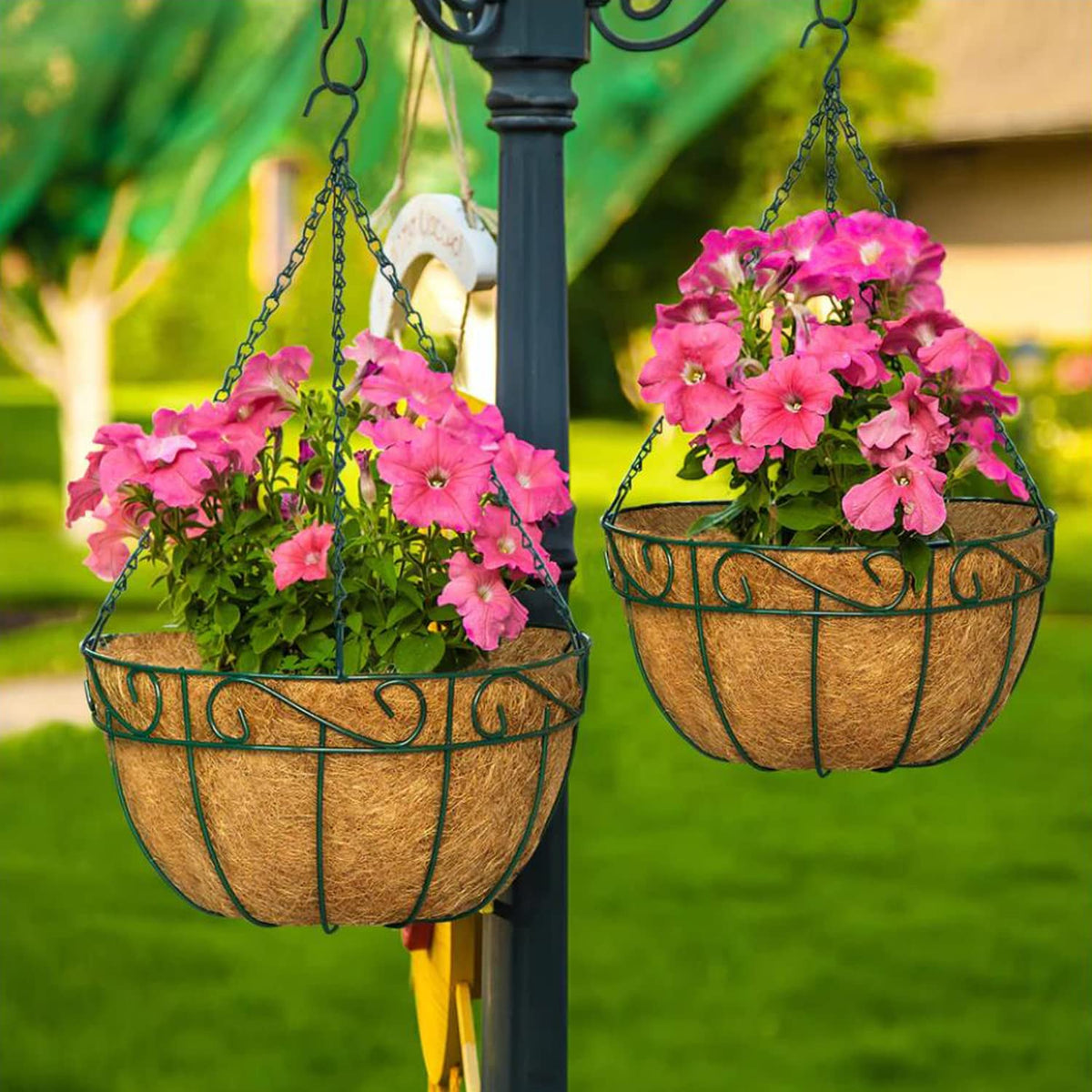 LCHUANG Coco Liners ideal for flowers, vegetables, and greens