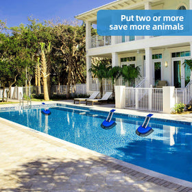 LCHUANG Pro Pool Animal Escape Ramp blue in use at pool shows safe critter exit.