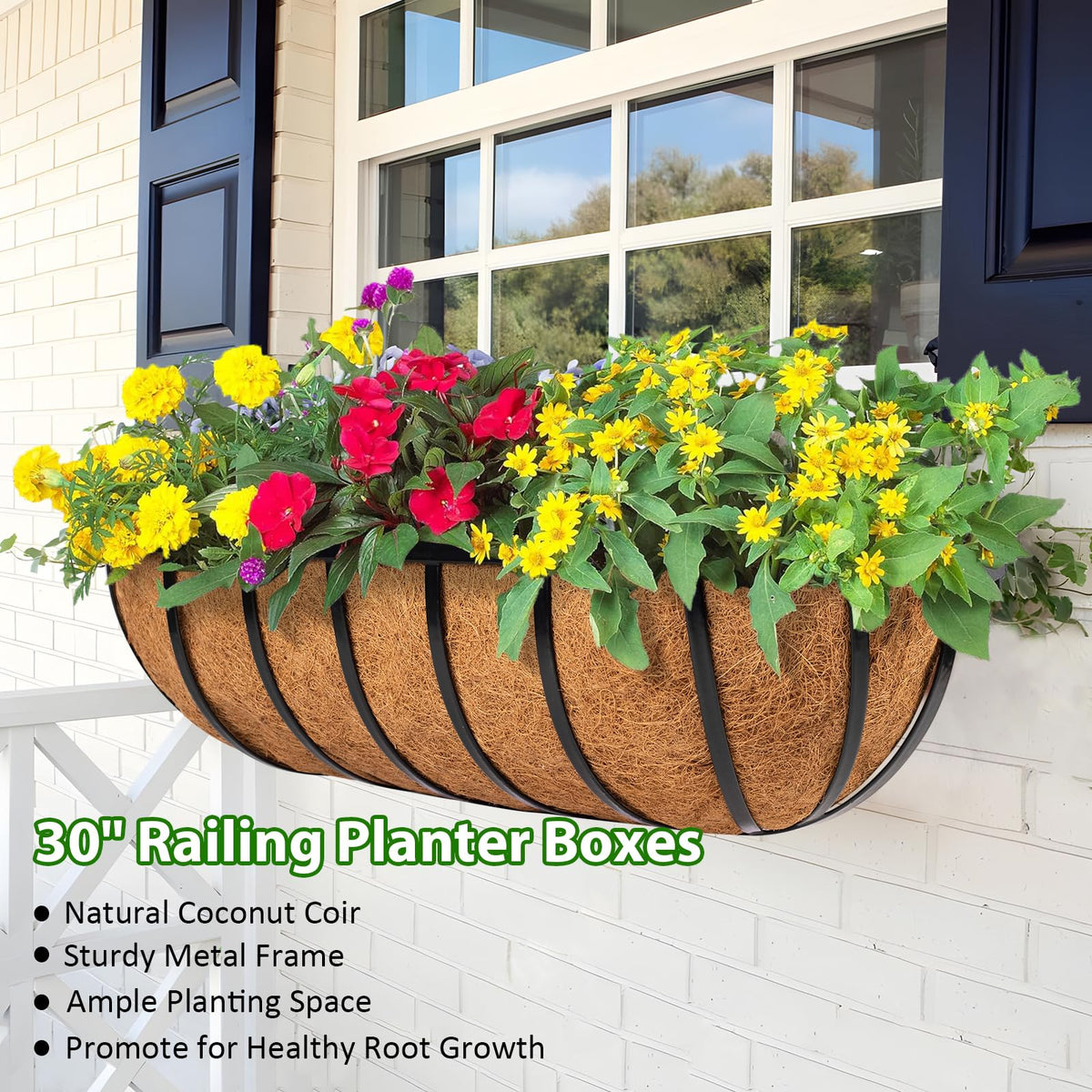 LCHUANG coconut liner inside promotes healthy root growth for potted plants.