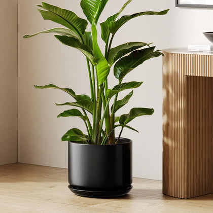 LE TAUCI 12-inch ceramic plant pot for spacious indoor arrangements.