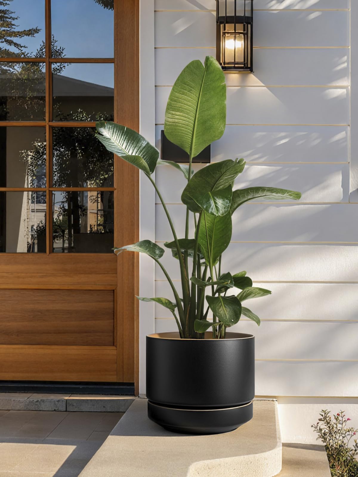 LE TAUCI 14in pot enhances modern entryways or corners with architectural presence