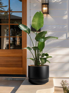 LE TAUCI 14in pot enhances modern entryways or corners with architectural presence