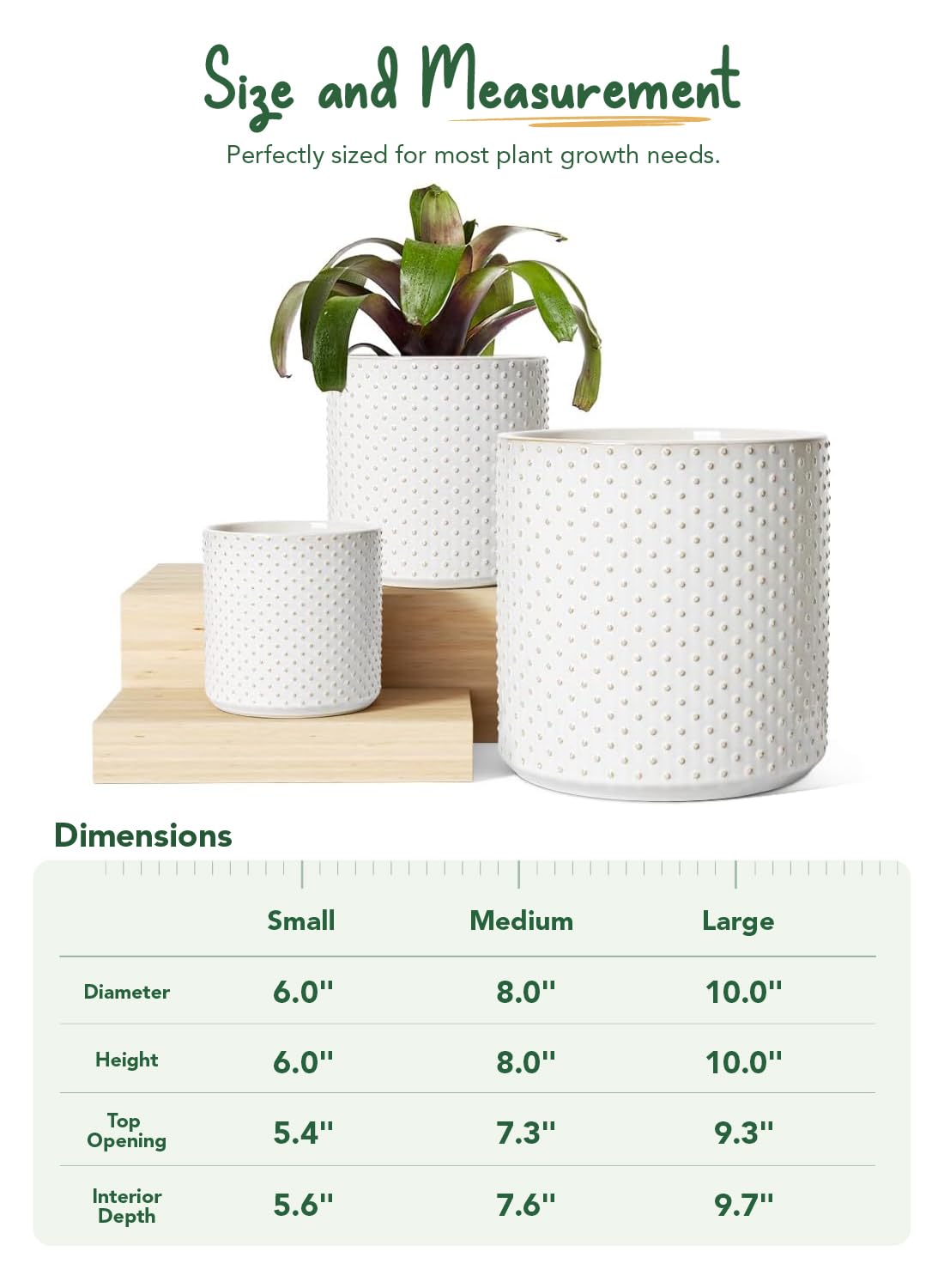 Glossy glaze on LE TAUCI Arctic White pot highlights a clean finish.