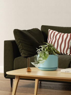 LE TAUCI 4.3-inch ceramic pot perfect for succulents with drainage and a neat look.