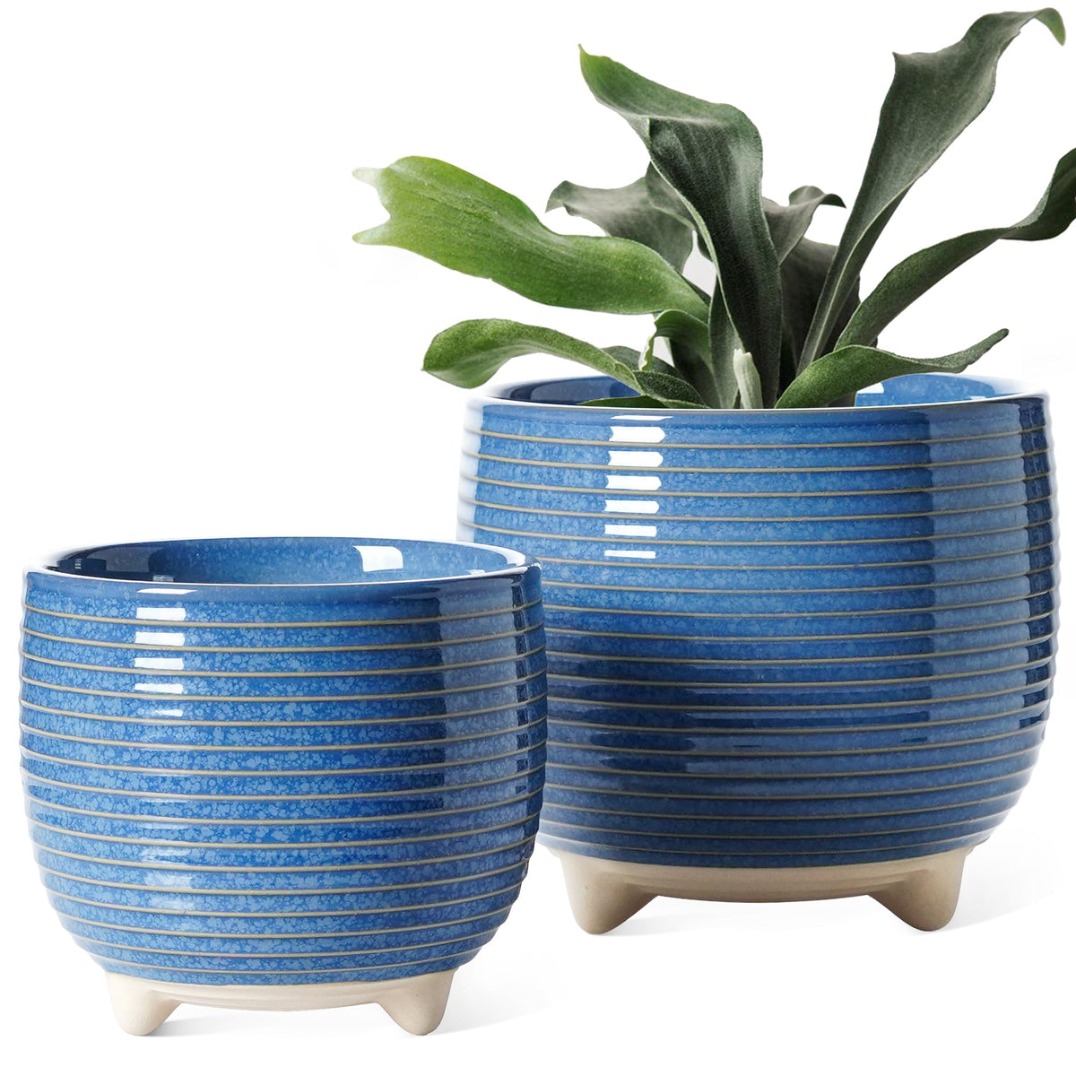 LE TAUCI ceramic plant pot 5-1 inch with reactive blue glaze, ideal for small succulents.