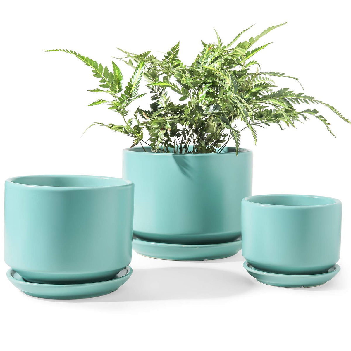 LE TAUCI 6.8-inch ceramic plant pot with drainage hole for easy watering control.