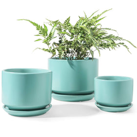 LE TAUCI 6.8-inch ceramic plant pot with drainage hole for easy watering control.