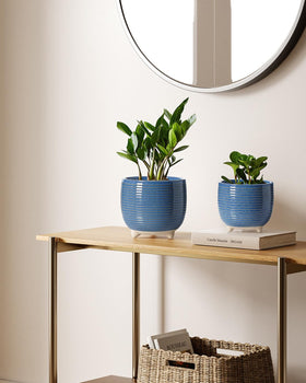 LE TAUCI ceramic plant pot drainage system, helps manage moisture and root health.