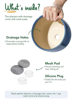 LE TAUCI ceramic plant pot indoor office use, ideal for workspace greenery.
