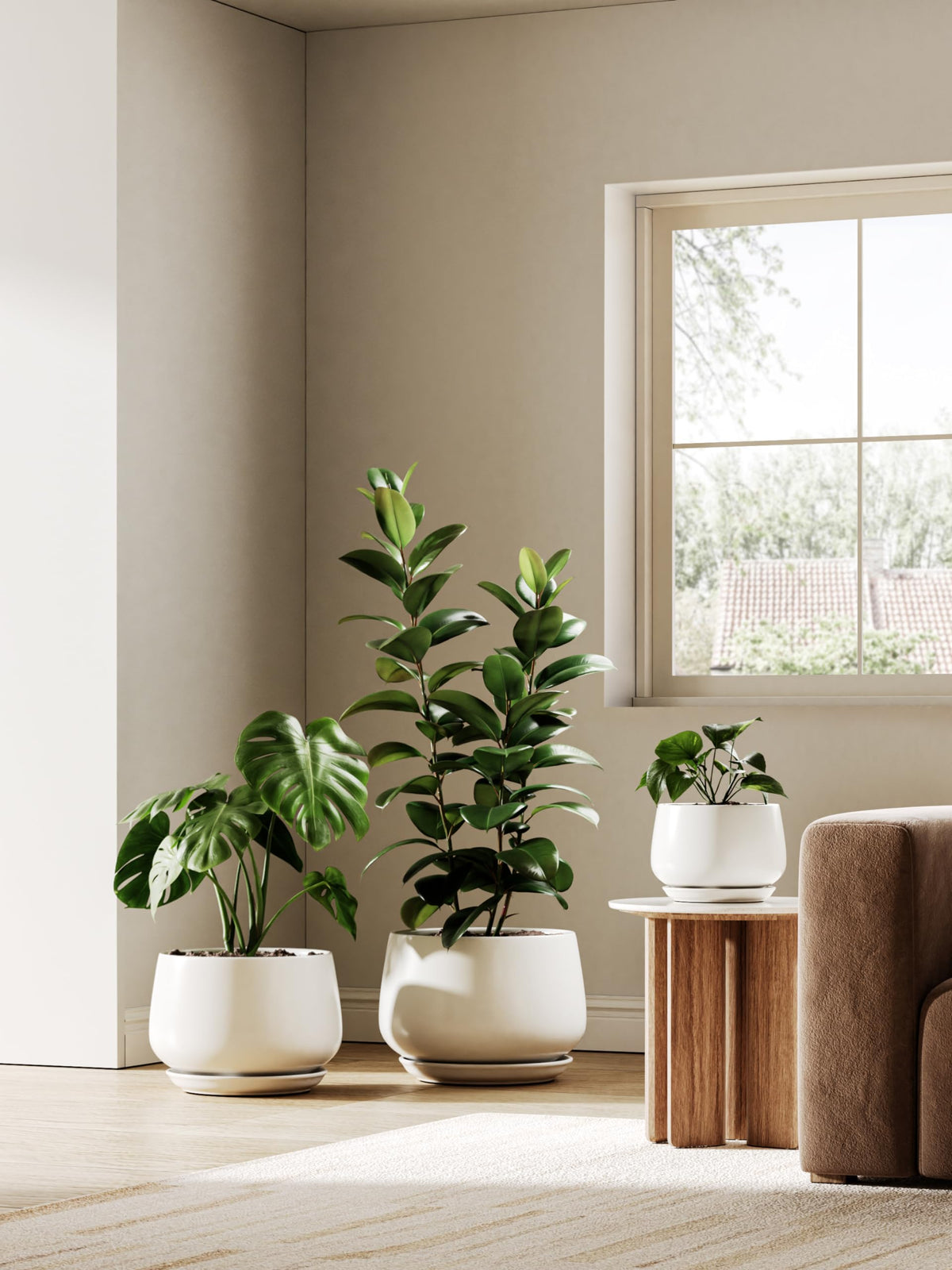 LE TAUCI planter 10-inch white saucer keeps water contained and protects floors.