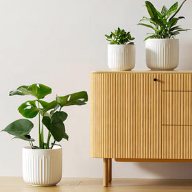 LE TAUCI ceramic planter 8.3-inch with drainage for easy watering control