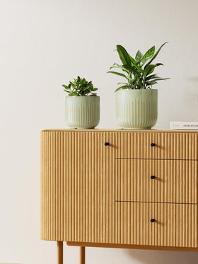 LE TAUCI 7-inch sage-glazed planter adds layered height
