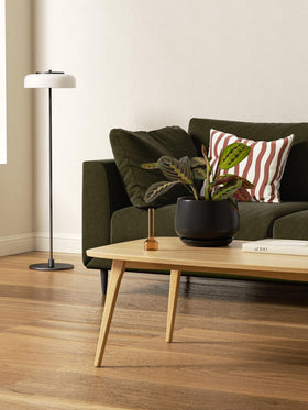 LE TAUCI ceramic planters with plants on a desk enhance indoor decor.