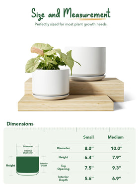 LE TAUCI ceramic pot 10-inch side view emphasizes robust construction