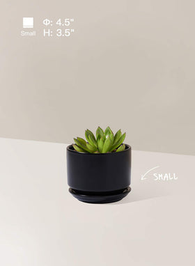 LE TAUCI ceramic pot 4.3-inch black, perfect for succulents and small greens.