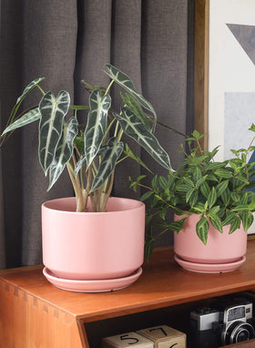 LE TAUCI ceramic pot 5-3 inch with saucer in pink finish