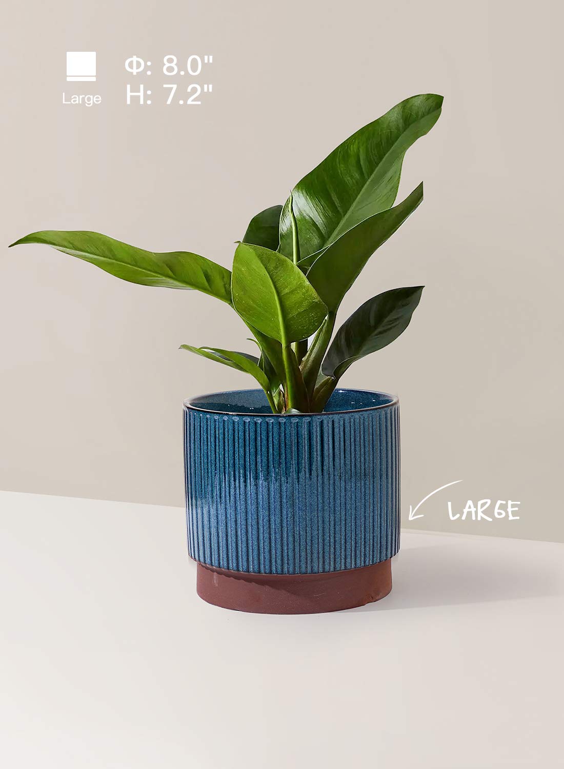 LE TAUCI 5-5-inch ceramic pot top view for shelves and desks