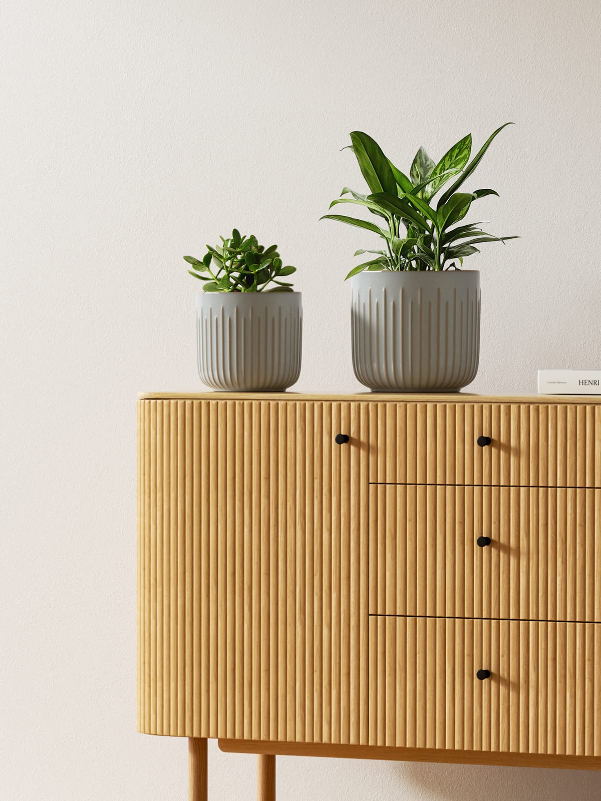LE TAUCI 5.7-inch fluted pot ideal for compact herbs and succulents.