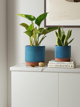 LE TAUCI 6-7-inch ceramic pot side view for versatile pairing