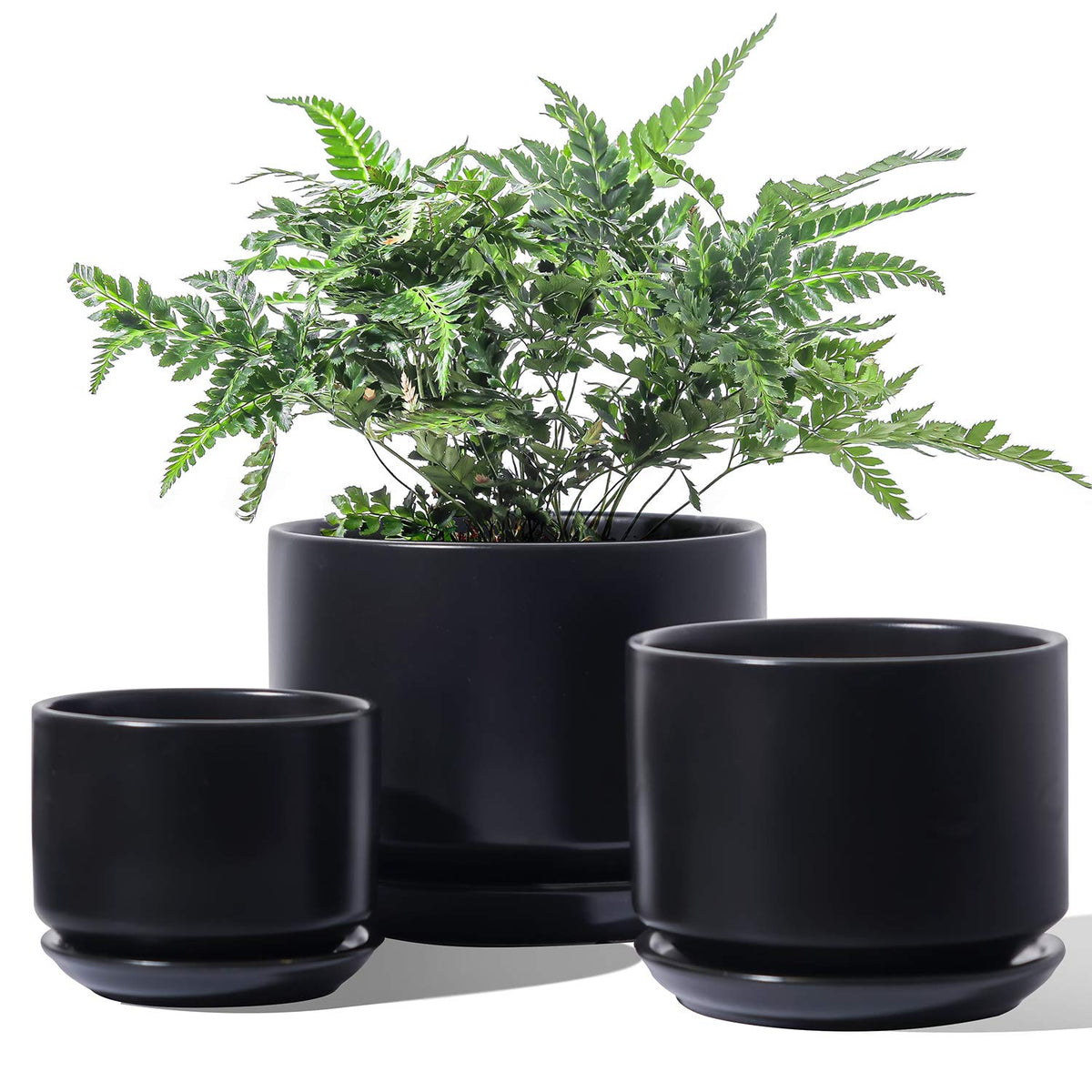 LE TAUCI ceramic pot 6.8-inch black with drainage for healthy indoor plants.