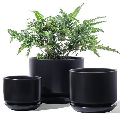 LE TAUCI ceramic pot 6.8-inch black with drainage for healthy indoor plants.