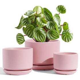 LE TAUCI ceramic pot 6-8 inch close-up showing drainage hole and pink glaze