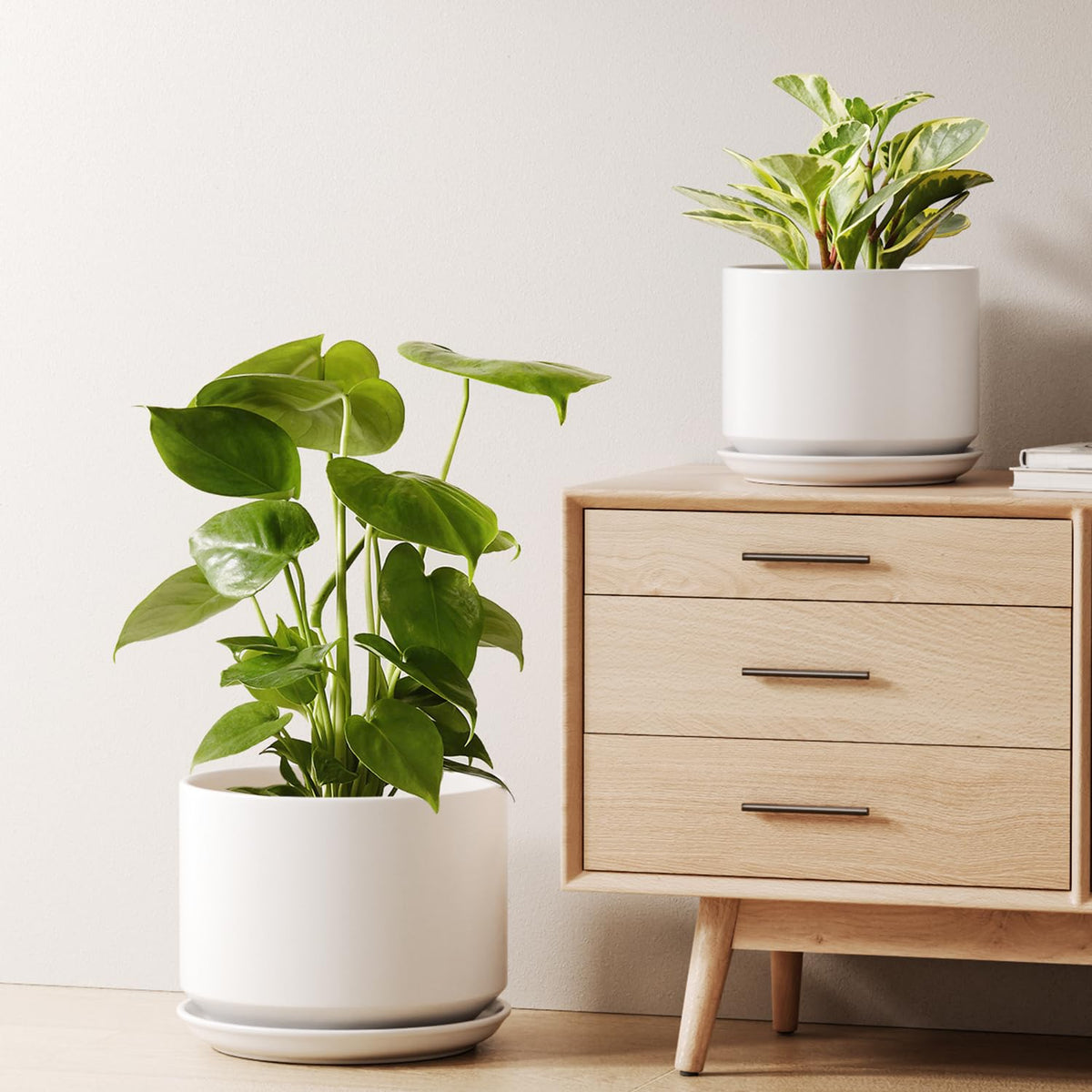 LE TAUCI ceramic pot 8-inch front view with drainage for tidy indoor plant display