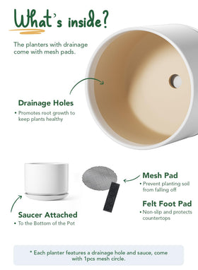LE TAUCI ceramic pot 8-inch side view highlights thick walls for stability