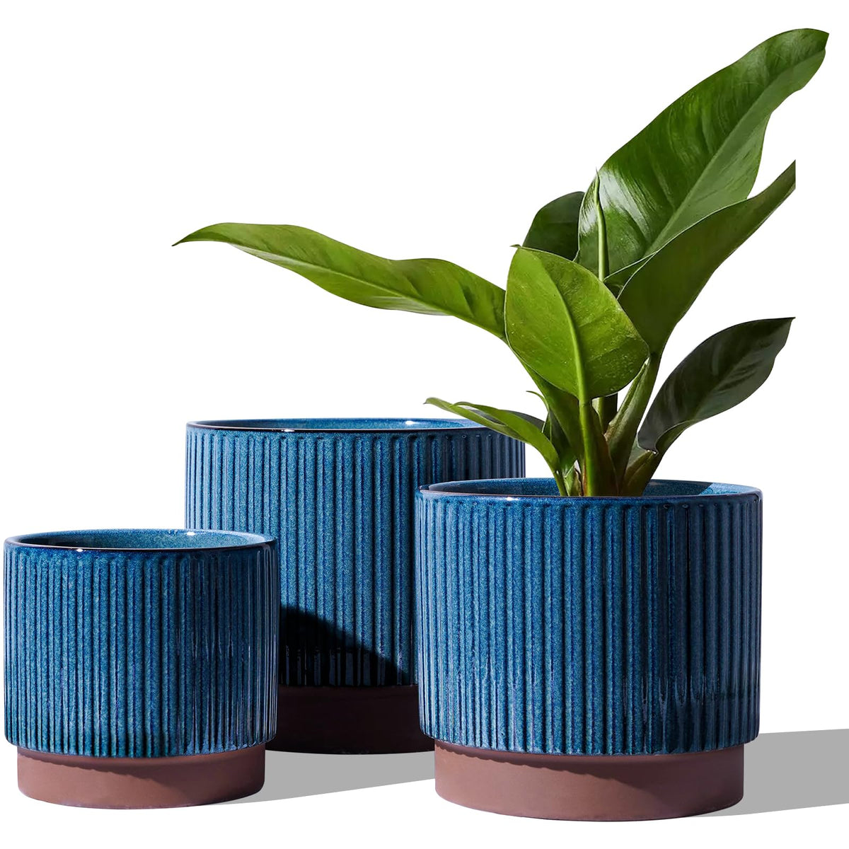 LE TAUCI 8-inch ceramic pot with blue glaze, front view for living spaces