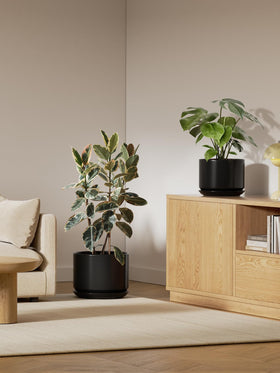 LE TAUCI ceramic pot with drainage hole and saucer for moisture control.